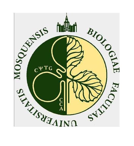 Название изображения