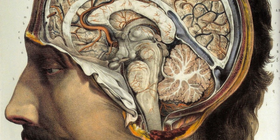 Источник: medium