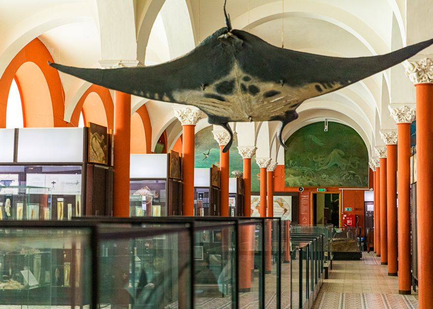 Название изображения