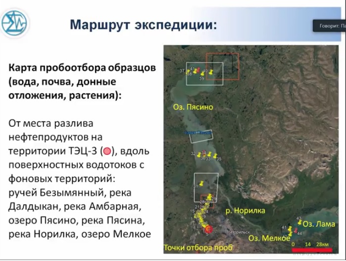 https://scientificrussia.ru/data/shared/mashaaaaaaaaaaaaaaaaaa/nornikbezymyannyj.jpg