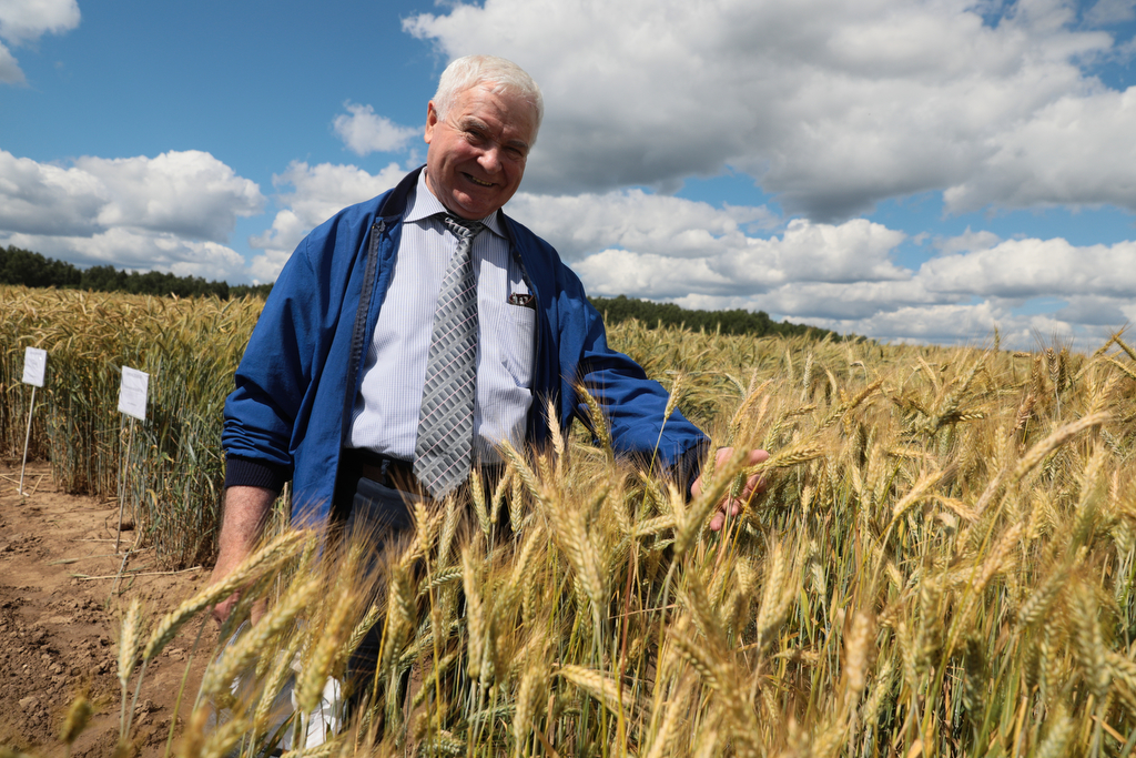 Почта аграрное. Работники сельского хозяйства. Работники сельского хозяйства. Агроном в поле. Школа фермера.