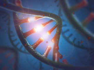 Обнаружен новый тип РНК, который может играть роль в старении