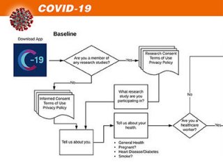 Ученые США и Великобритании выпустили приложение для отслеживания симптомов COVID-19