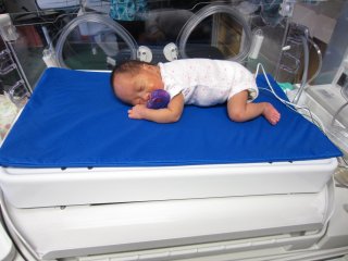 Кроватка Calmer поддерживает уровень кислорода в мозге недоношенных новорожденных