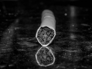 Российские химики уточнили, как бордосская жидкость может повышать опасность табака