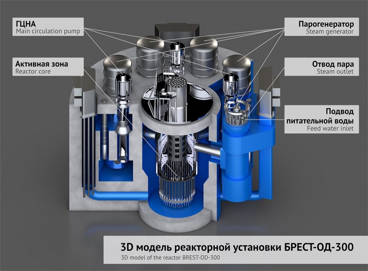 3D модель реакторной установки БРЕСТ-ОД-300