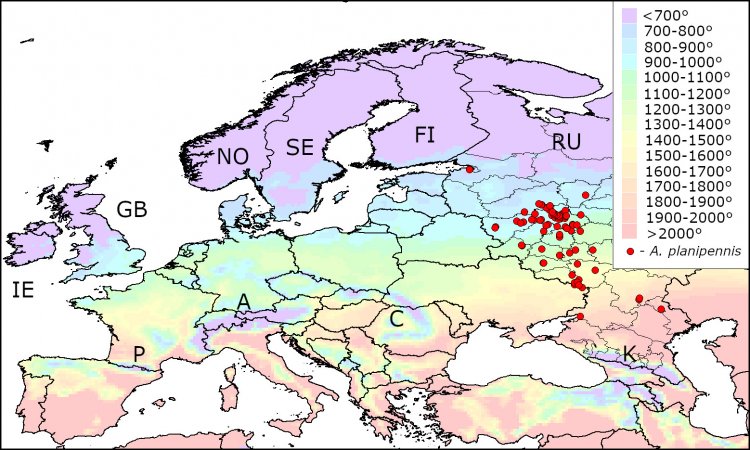 Карта теплообеспеченности Европы. Источник: Orlova-Bienkowskaja and Bieńkowski / Insects, 2022