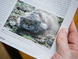 Фото Ольги Мерзляковой