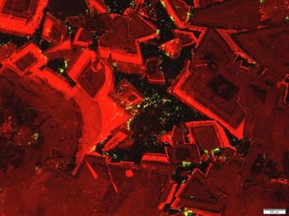 Доломитовый коллектор при катодолюминесцентом свечении. Фото предоставлено Викторий Ершовой