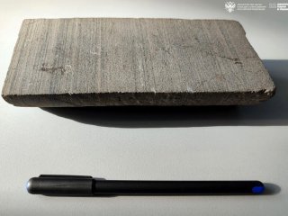 Продольный срез цилиндрического керна осадочных отложений с тонкой слоистостью. Фото Ирины Барановой