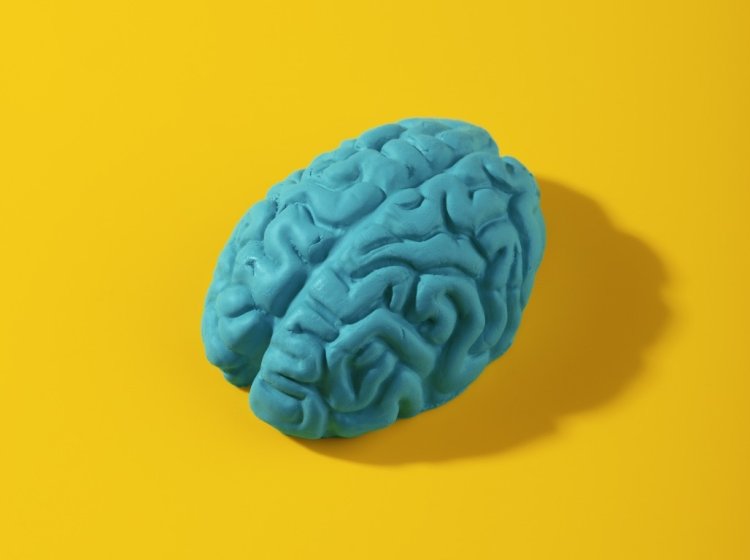 Мозг. Источник изображения: freepik / фотобанк Freepik
