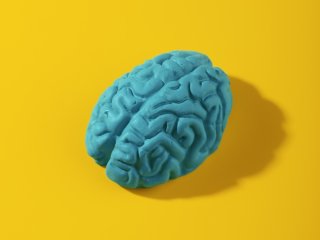 Мозг. Источник изображения: freepik / фотобанк Freepik