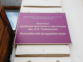 Фото Ольги Мерзляковой