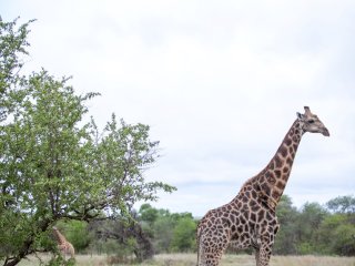 Изображение: cc0collection/Фотобанк RU.123.RF