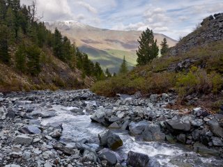 Фото: metlion / ru.123rf.com