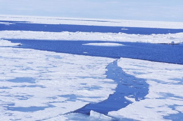 Изображение: © РИА Новости / Фред Гринберг