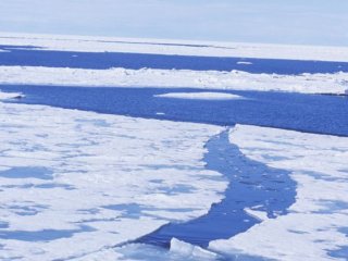 Изображение: © РИА Новости / Фред Гринберг