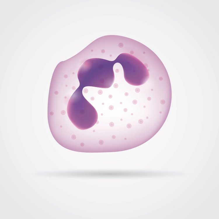 Изображение: captainvector/Фотобанк RU.123.RF