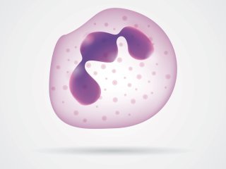 Изображение: captainvector/Фотобанк RU.123.RF