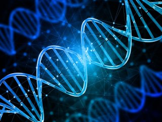 Изображение: Фотобанк Freepik