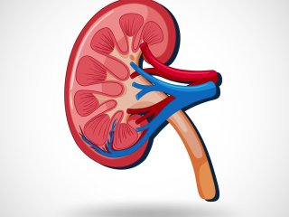 Изображение: Фотобанк Freepik