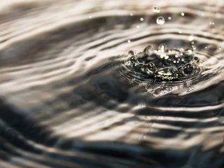 Изображение: Фотобанк Freepik