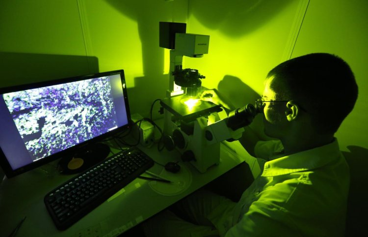 Фото © Валерий Матыцин/ ТАСC