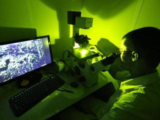 Фото © Валерий Матыцин/ ТАСC