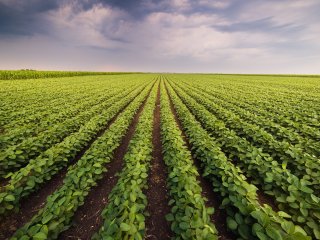 Источник фото: www.123rf.com