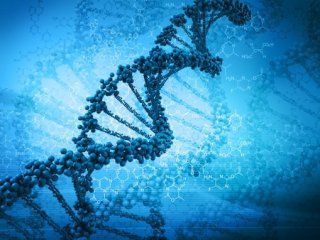 Добавлены новые буквы в алфавит ДНК