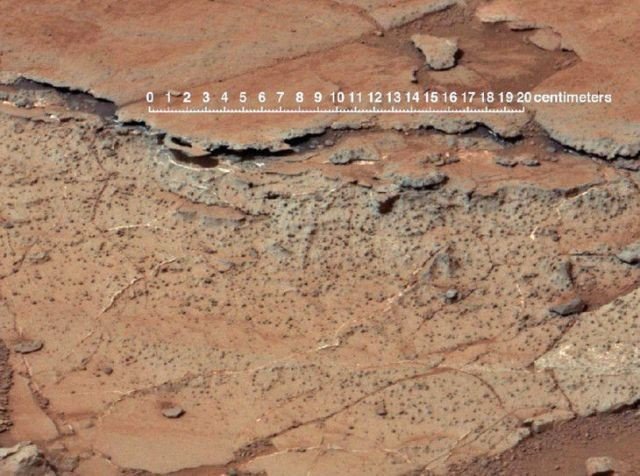 Обнаружено сходство почв Марса и Земли
