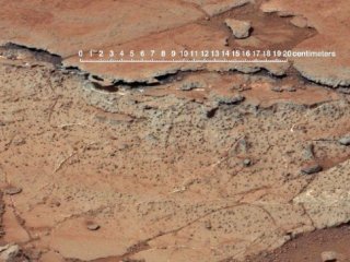 Обнаружено сходство почв Марса и Земли