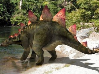 Самцы стегозавров привлекали самок «тарелками» на спине