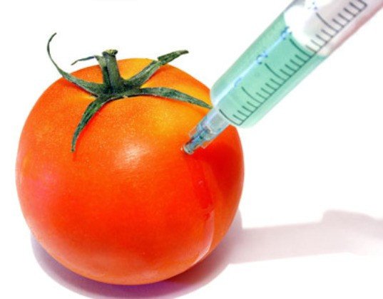 Почему ГМО вызывает столько протестов