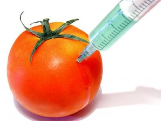 Почему ГМО вызывает столько протестов