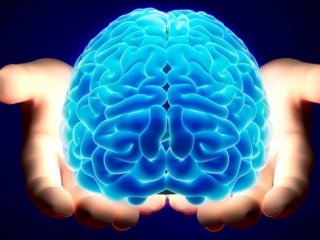 Разговоры с мозгом: как новые методы лечения взламывают нервную систему