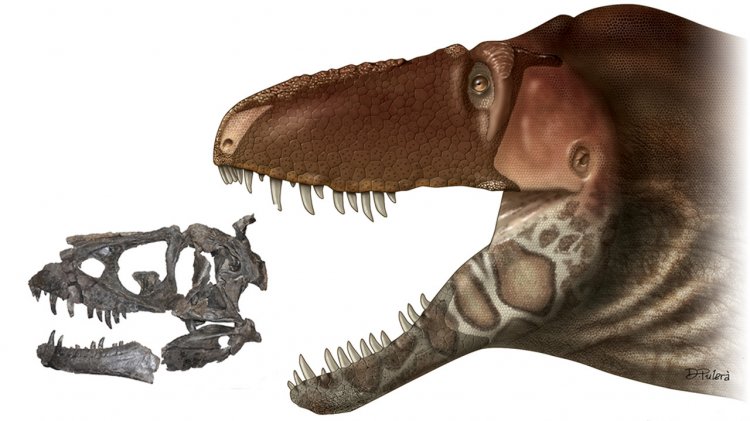 У тираннозавров была чувствительная кожа