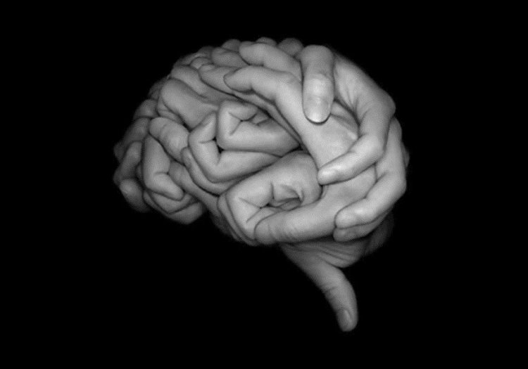Области мозга могут быть связаны с функциями, а не частями тела