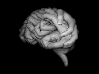 Области мозга могут быть связаны с функциями, а не частями тела
