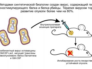 Иллюстрация предоставлена Владимиром Рихтером