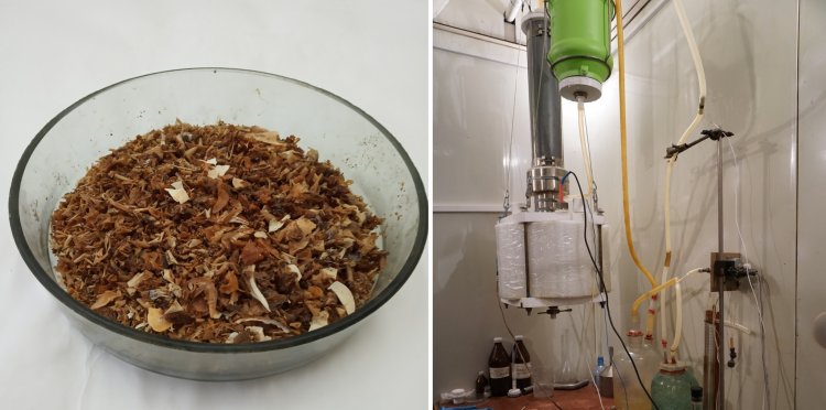 Рыбные отходы (слева) перед переработкой в реакторе мокрого сжигания (справа)//Фото Группа научных коммуникаций ФИЦ КНЦ СО РАН