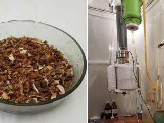 Рыбные отходы (слева) перед переработкой в реакторе мокрого сжигания (справа)//Фото Группа научных коммуникаций ФИЦ КНЦ СО РАН