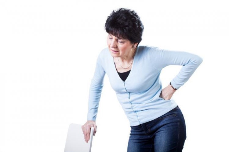 В ИЦиГ СО РАН оценили степень влияния ожирения на риск развития болей в спине