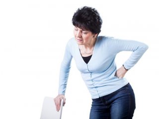 В ИЦиГ СО РАН оценили степень влияния ожирения на риск развития болей в спине