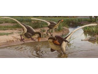 Новый пернатый динозавр был одним из последних выживших хищников