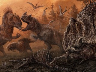 Среди хищных динозавров были каннибалы