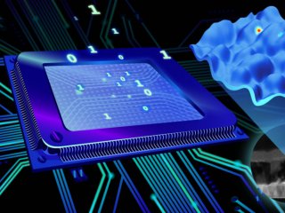 Полезные дефекты / ©Дарья Сокол / Пресс-служба МФТИ / Автор: Euclio Drusus