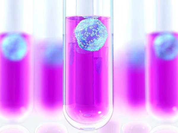 «Дети из пробирки»