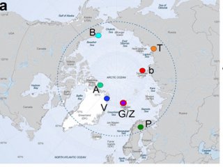 Ученые МГУ описали сезонность содержания органики в воздухе Арктики
