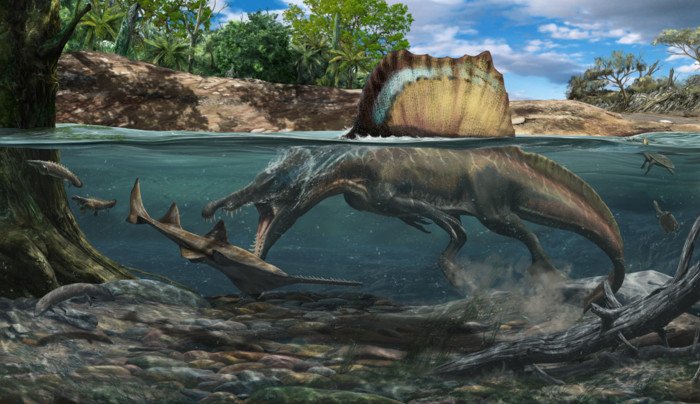 Плотные кости позволяли спинозавру охотиться под водой